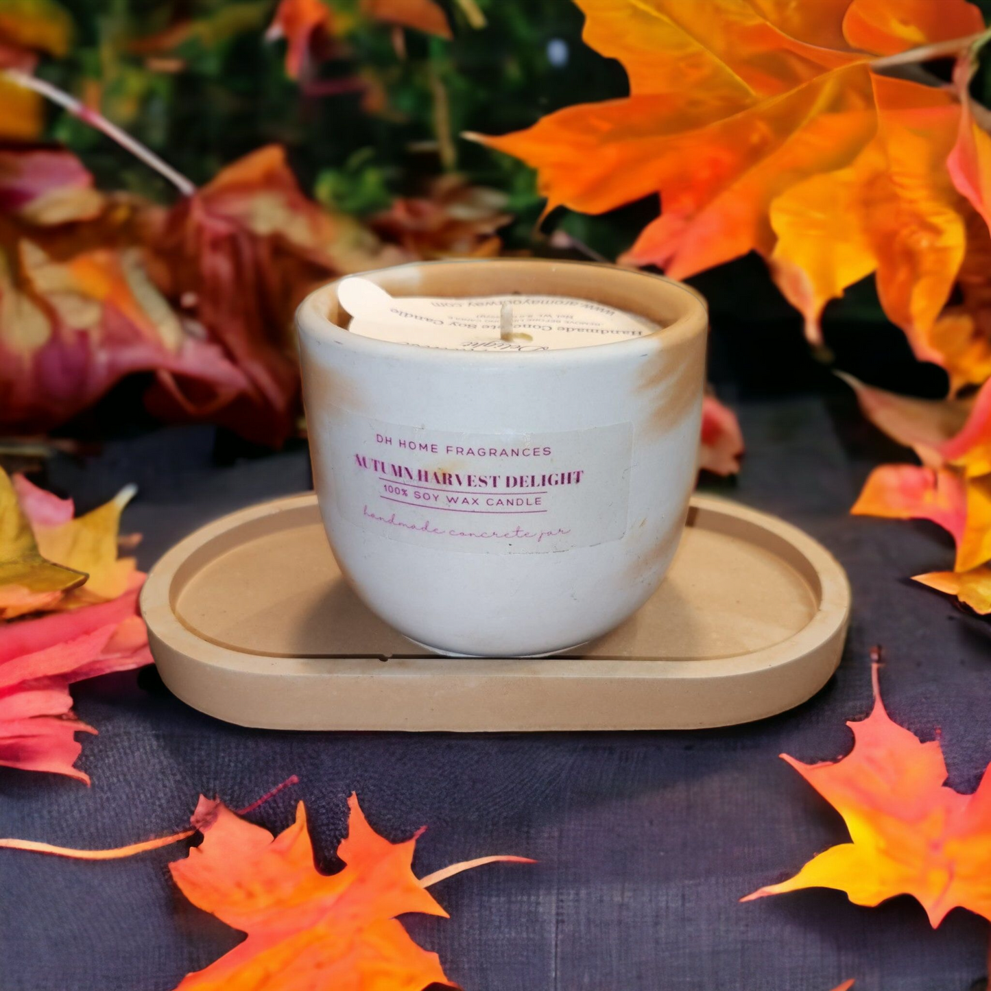 Autumn Harvest Delight Concrete Soy Candle (8oz)